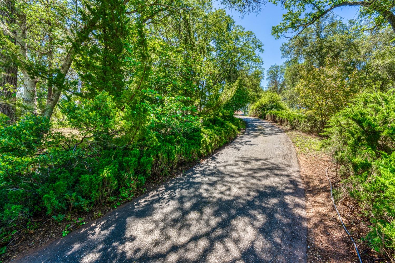 Detail Gallery Image 3 of 56 For 2720 North Shingle Rd, Shingle Springs,  CA 95682 - 4 Beds | 3/1 Baths