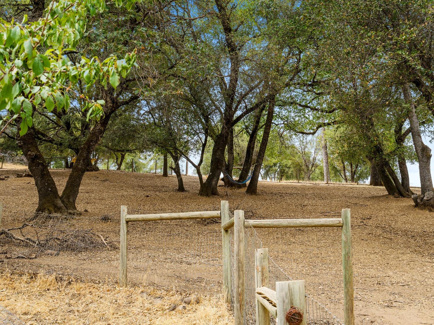 Detail Gallery Image 32 of 50 For 3980 Freedom Rd, Placerville,  CA 95667 - 3 Beds | 1 Baths