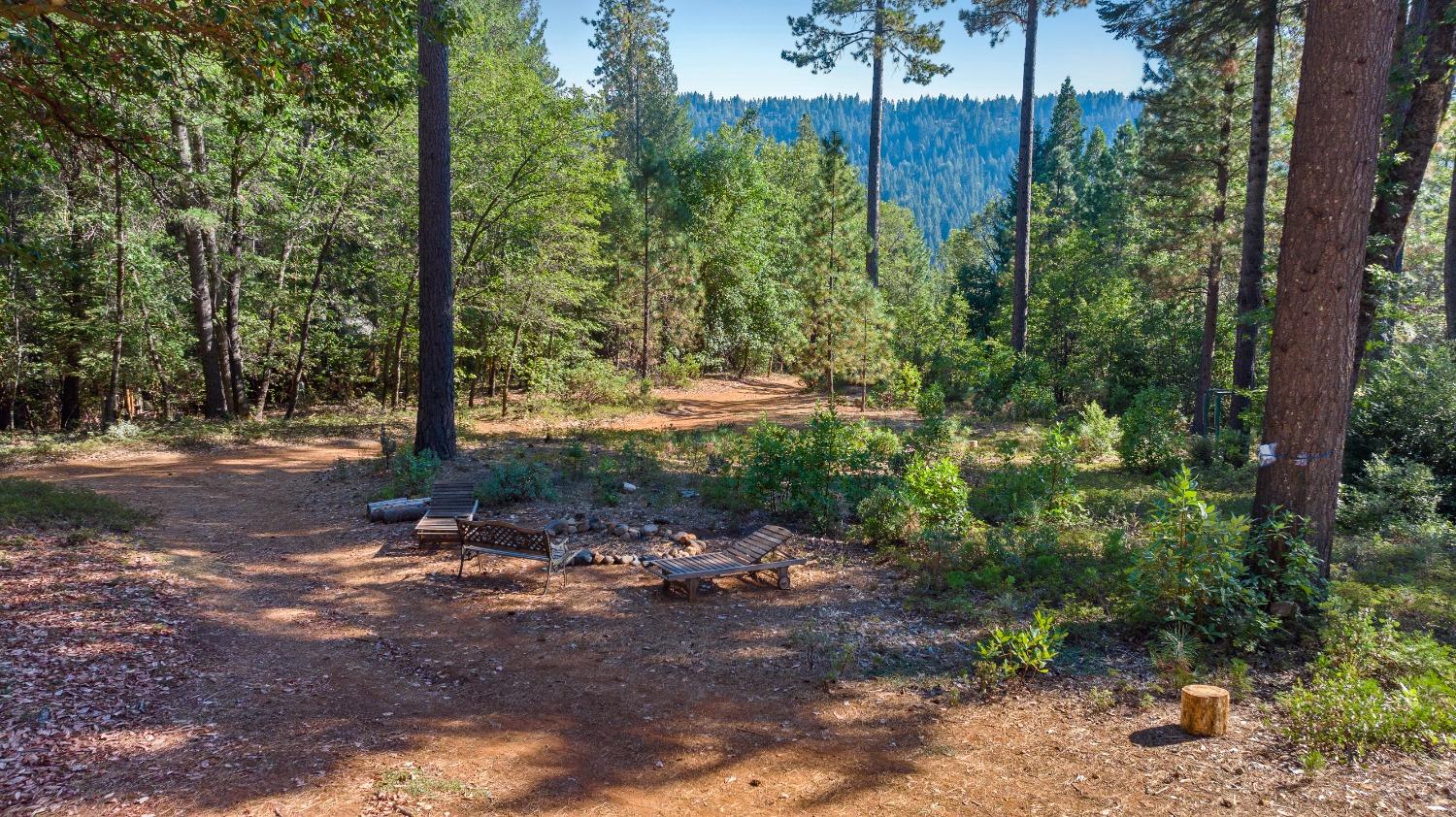 Detail Gallery Image 92 of 99 For 10895 Scotts Flat Dam Road, Nevada City,  CA 95959 - 3 Beds | 2 Baths