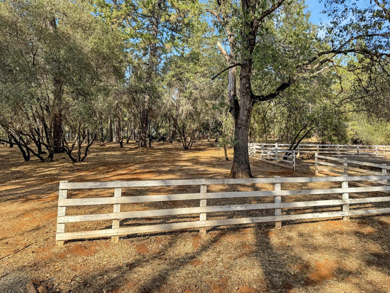 Detail Gallery Image 4 of 53 For 25414 Table Meadow Rd, Auburn,  CA 95602 - 4 Beds | 3/1 Baths