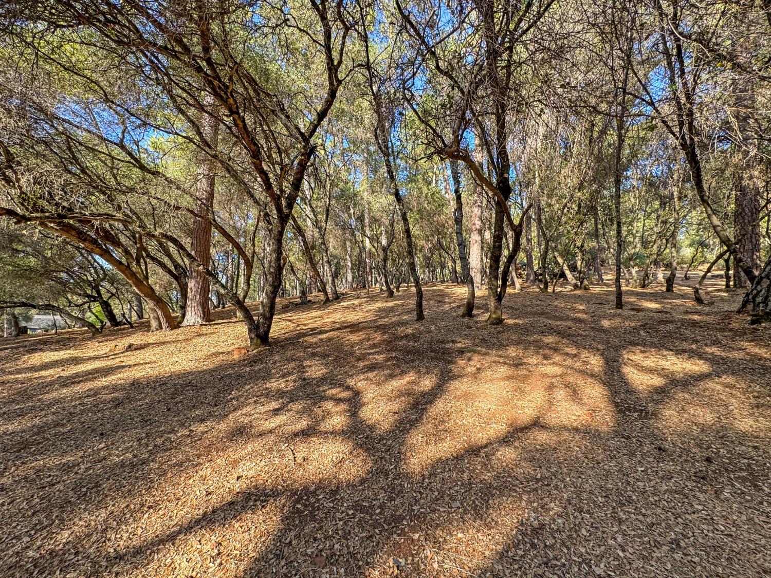 Detail Gallery Image 47 of 53 For 25414 Table Meadow Rd, Auburn,  CA 95602 - 4 Beds | 3/1 Baths