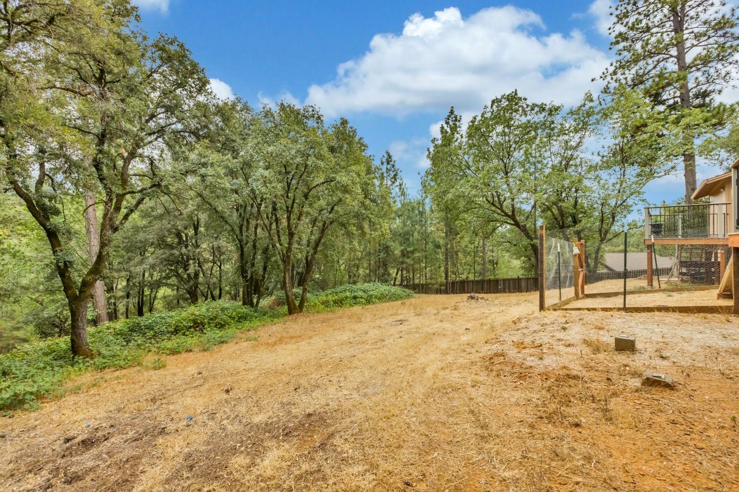 Detail Gallery Image 23 of 29 For 21960 N Manzanita Forest Dr, Colfax,  CA 95713 - 4 Beds | 2/1 Baths