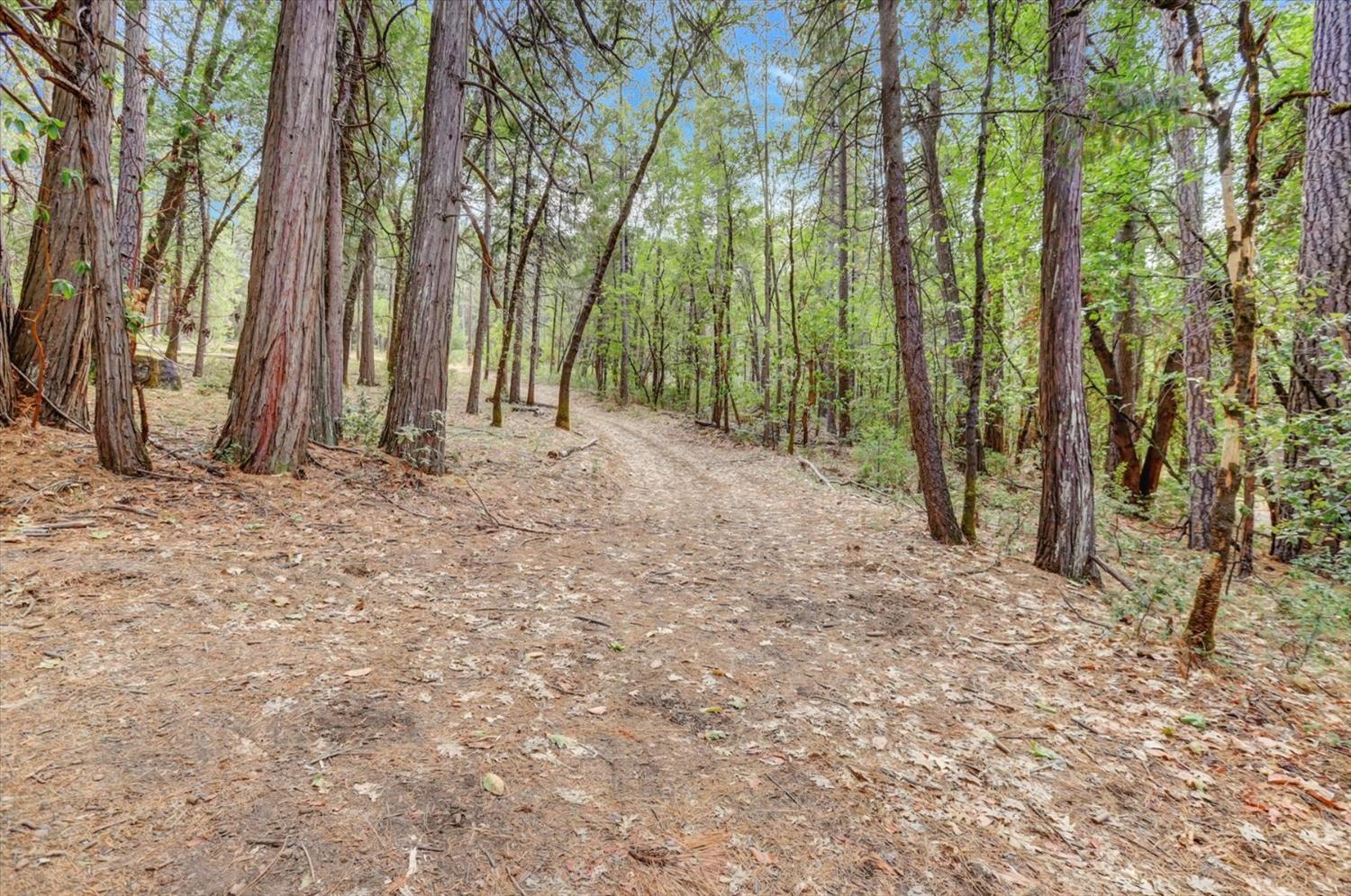 Detail Gallery Image 40 of 66 For 15281 Kimberly Ct, Nevada City,  CA 95959 - 2 Beds | 2 Baths