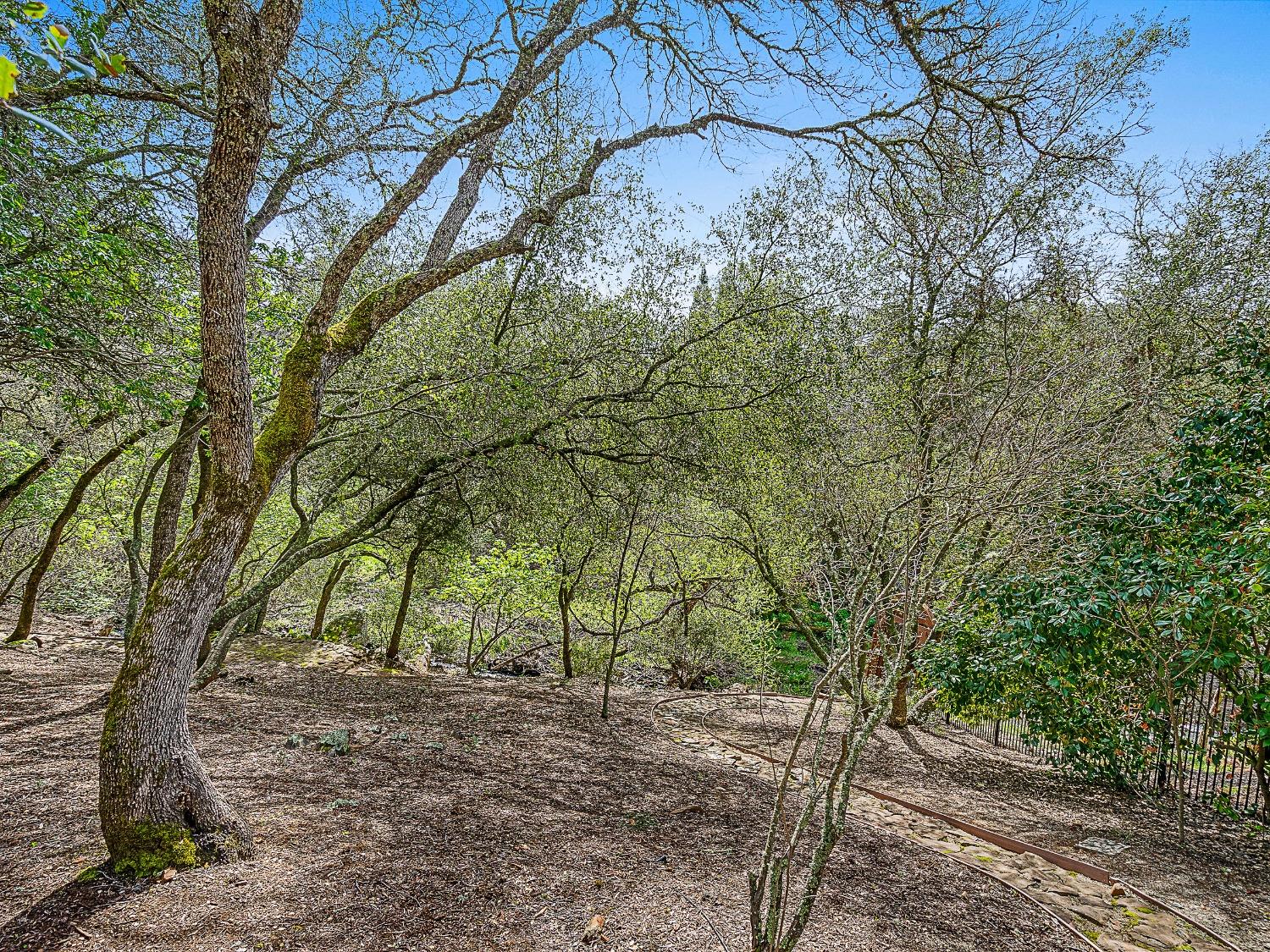 Detail Gallery Image 12 of 69 For 4188 Kilt Cir, El Dorado Hills,  CA 95762 - 5 Beds | 3 Baths