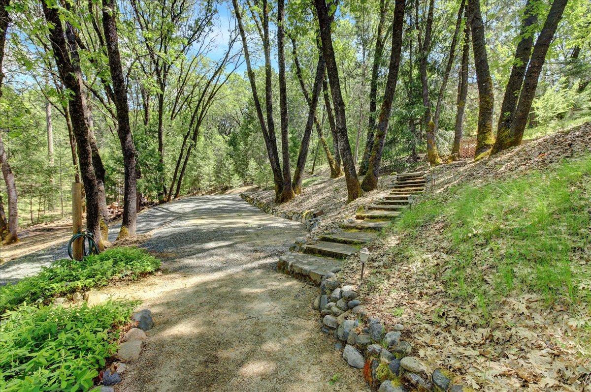 Detail Gallery Image 68 of 88 For 25801 Oak Forest Ct, Colfax,  CA 95713 - 6 Beds | 3/1 Baths