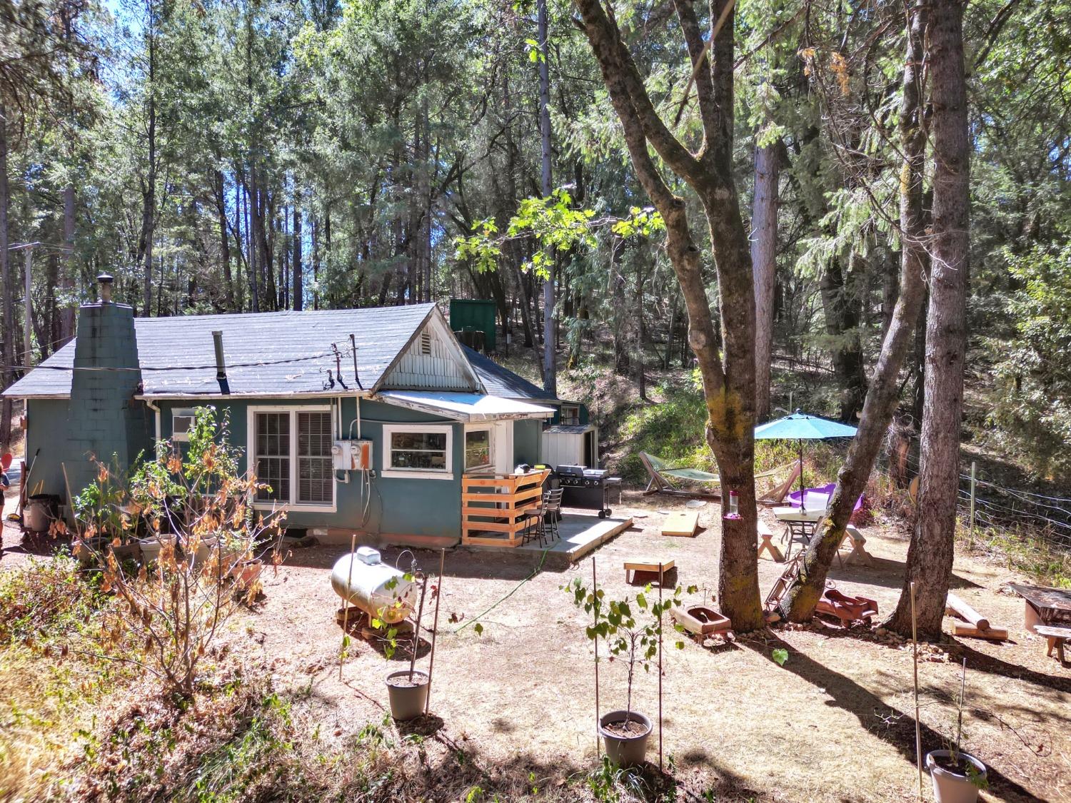 George Court #4, Colfax, California image 42