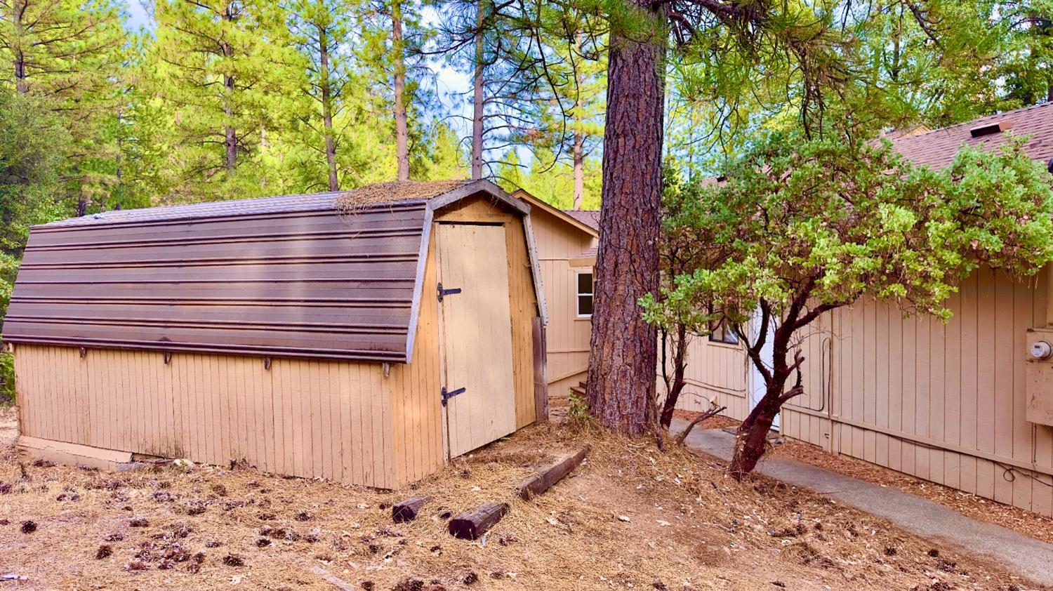 Homestead Drive, Placerville, California image 9