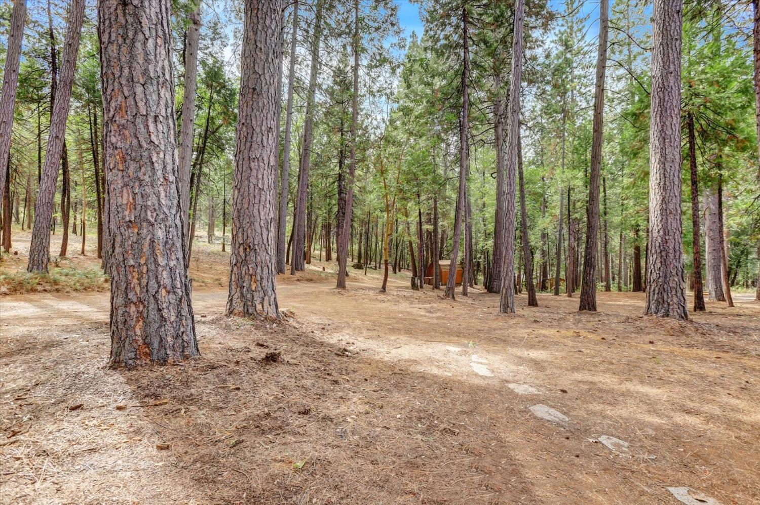 Detail Gallery Image 56 of 66 For 15281 Kimberly Ct, Nevada City,  CA 95959 - 2 Beds | 2 Baths