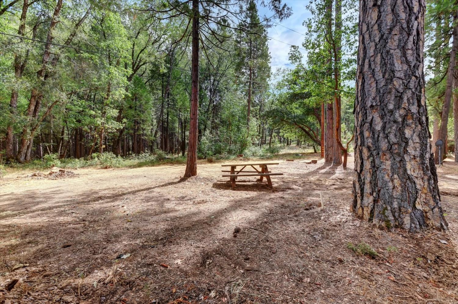 Detail Gallery Image 52 of 66 For 15281 Kimberly Ct, Nevada City,  CA 95959 - 2 Beds | 2 Baths