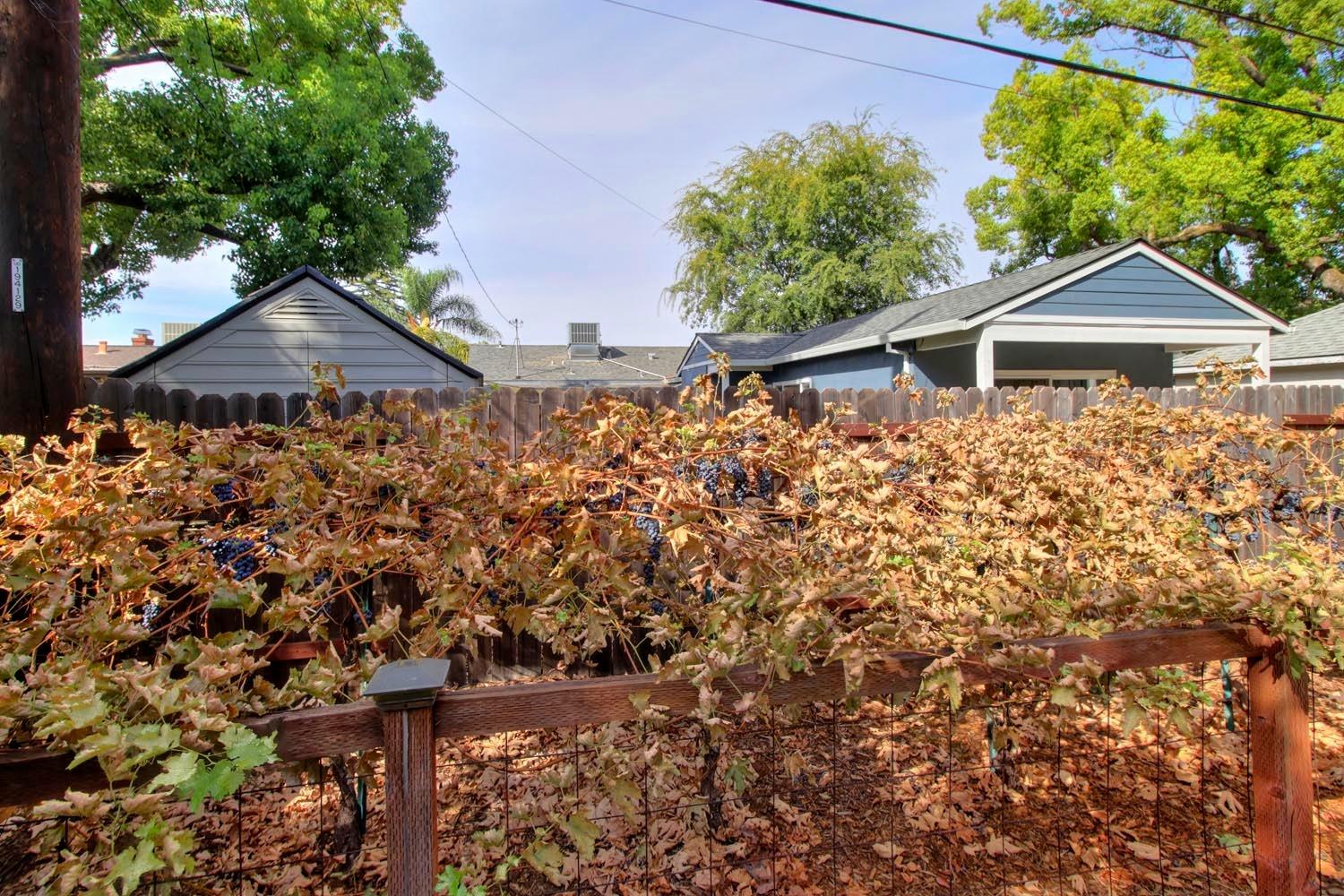 Detail Gallery Image 40 of 50 For 2335 Irvin Way, Sacramento,  CA 95822 - 2 Beds | 1 Baths