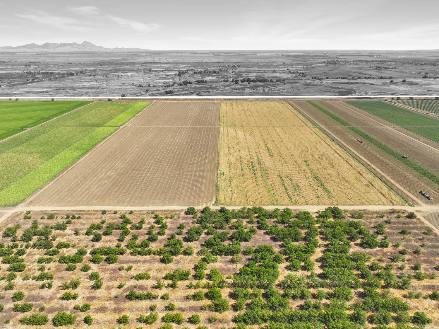 Lone Star Road, Williams, California image 35