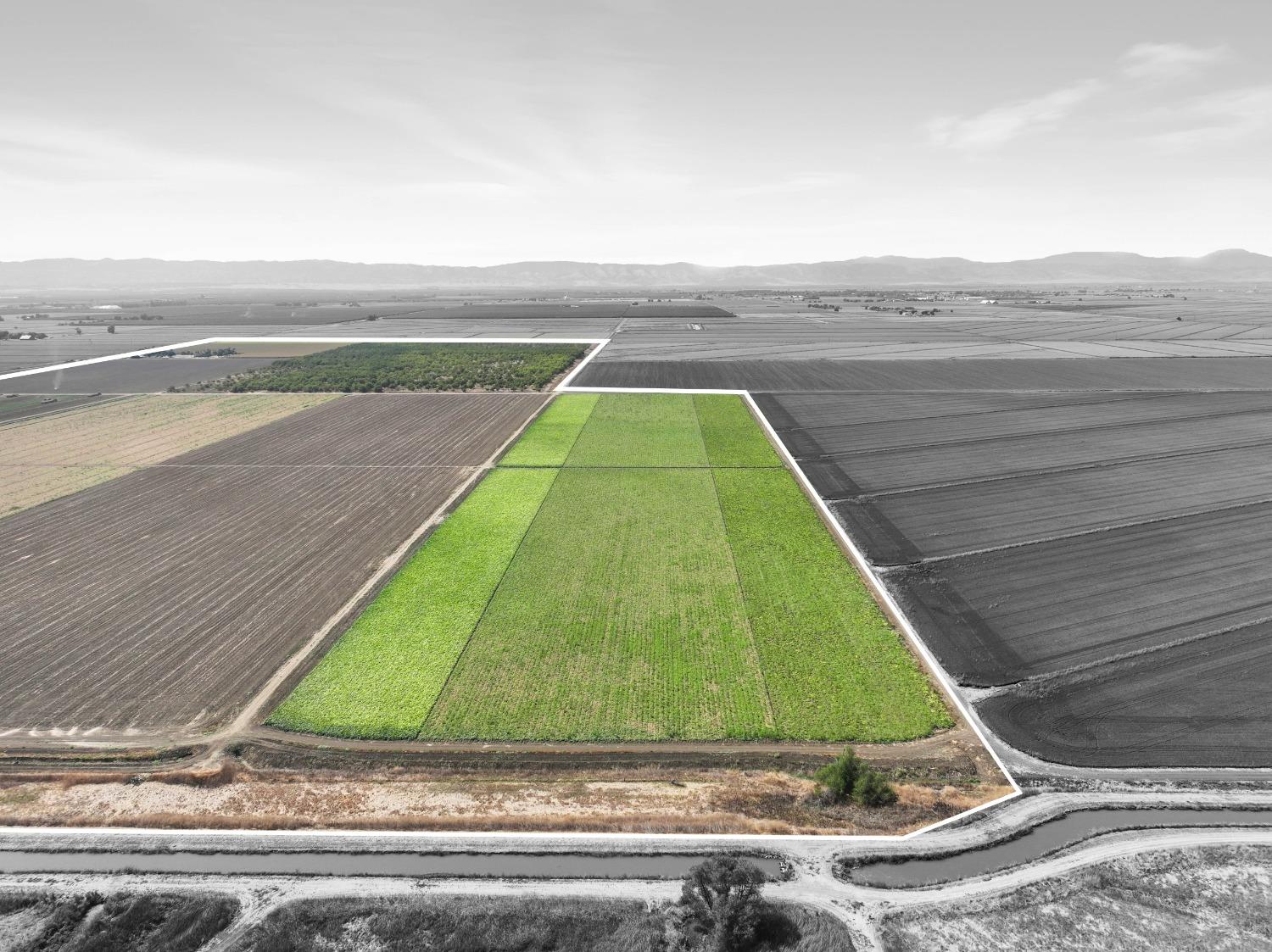 Lone Star Road, Williams, California image 30