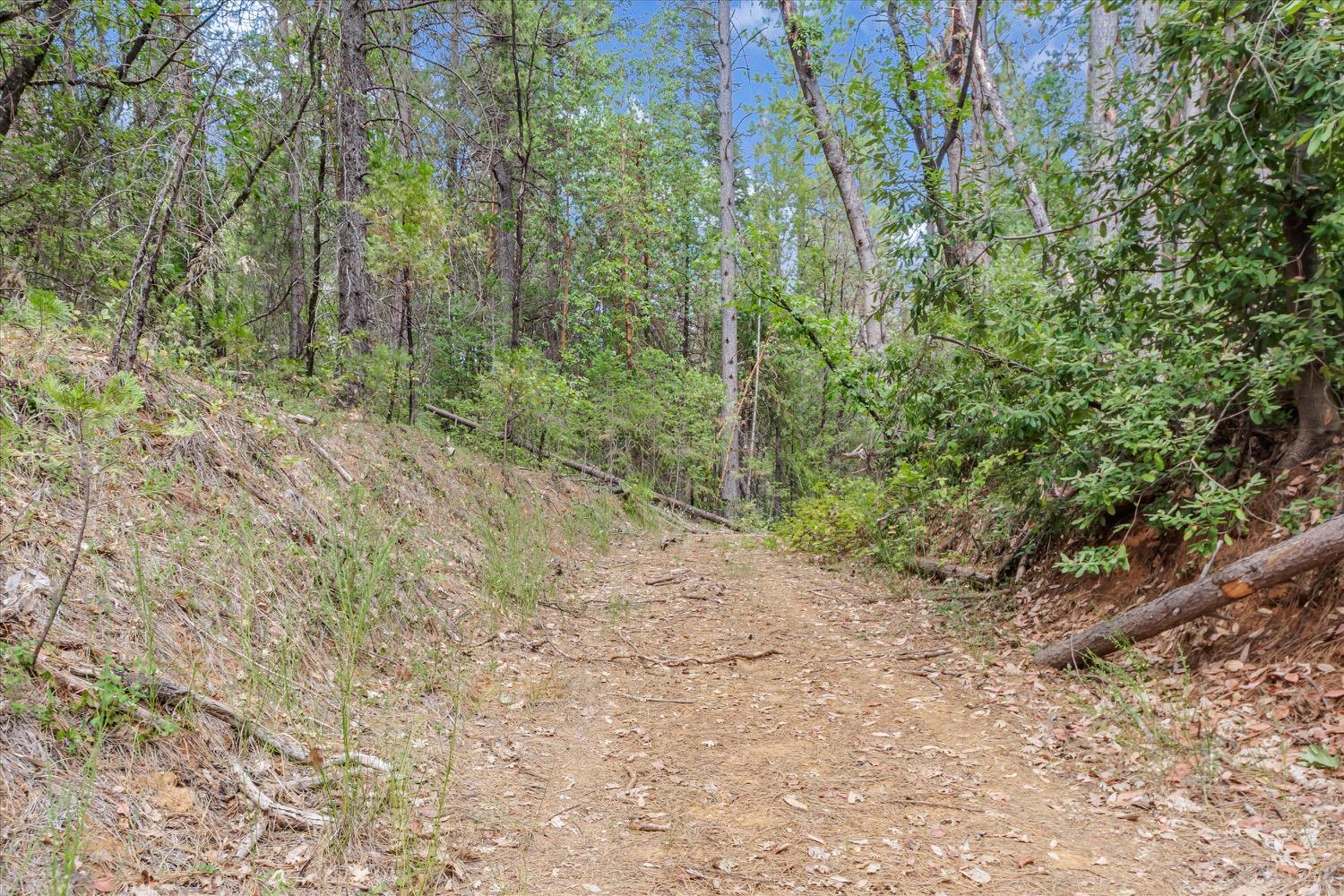 Hiatt Lane, Challenge, California image 10