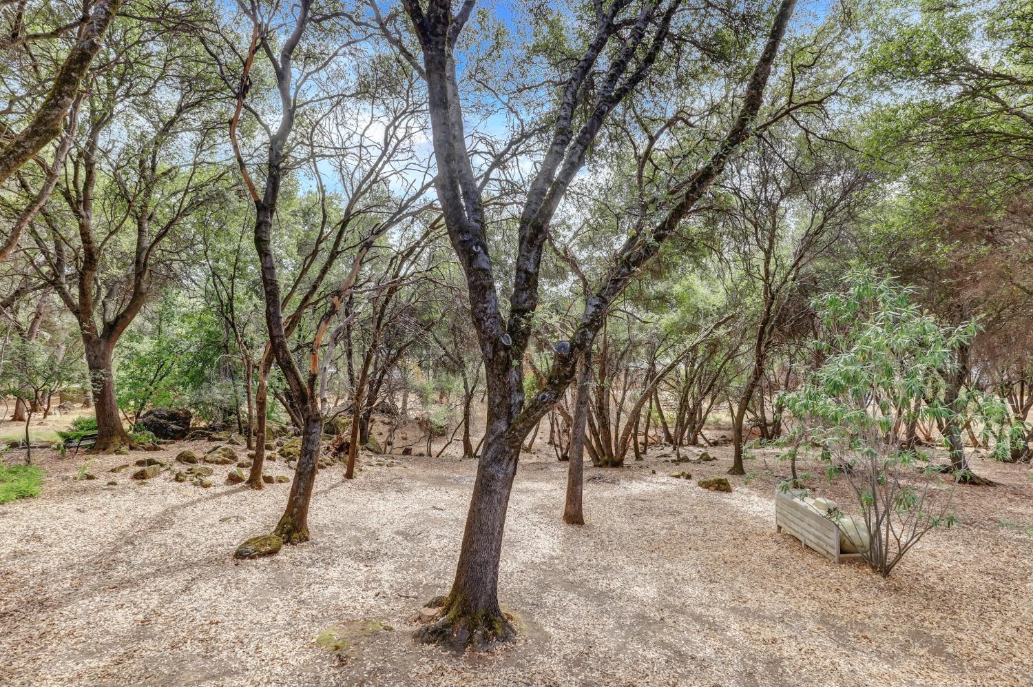 Detail Gallery Image 49 of 96 For 17675 Foxtail Dr, Penn Valley,  CA 95946 - 2 Beds | 2 Baths