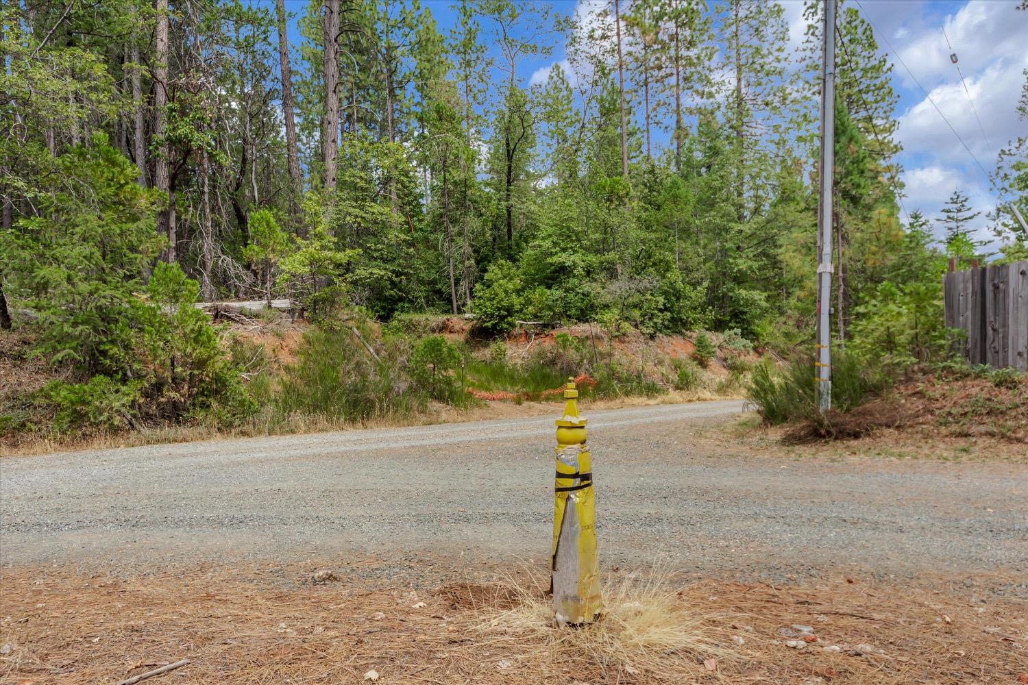 Hiatt Lane, Challenge, California image 38