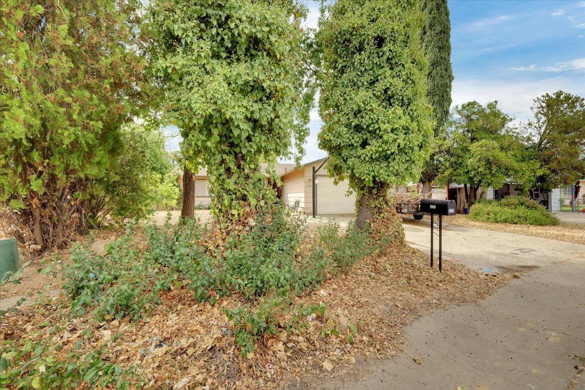 Lever Avenue, Olivehurst, California image 4