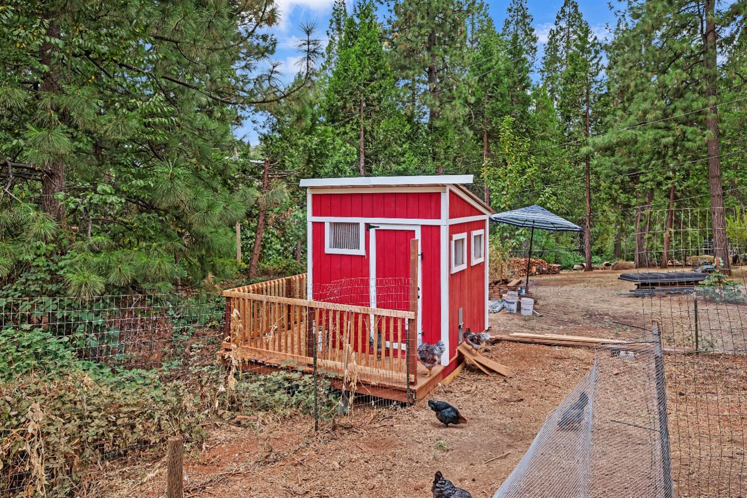 Detail Gallery Image 6 of 44 For 12191 Loma Rica Dr, Grass Valley,  CA 95945 - 3 Beds | 2 Baths