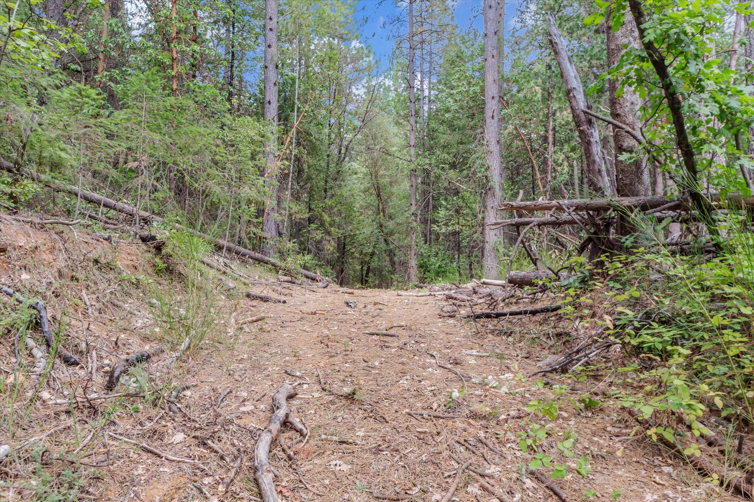 Hiatt Lane, Challenge, California image 11