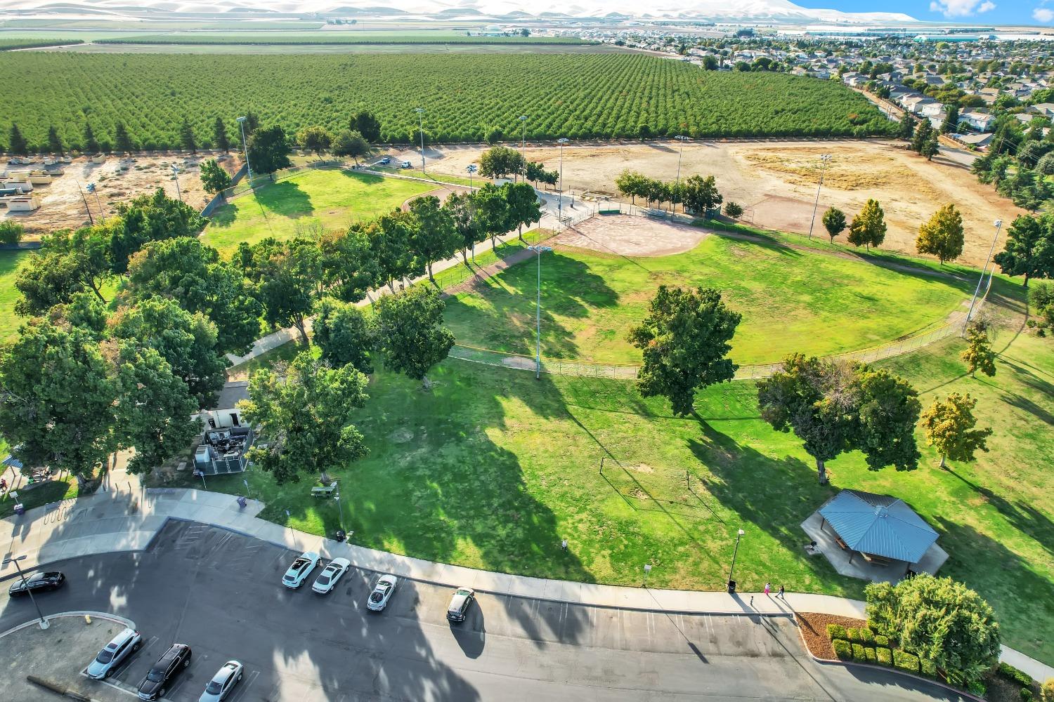 Detail Gallery Image 60 of 66 For 637 Poppy Ave, Patterson,  CA 95363 - 4 Beds | 3 Baths