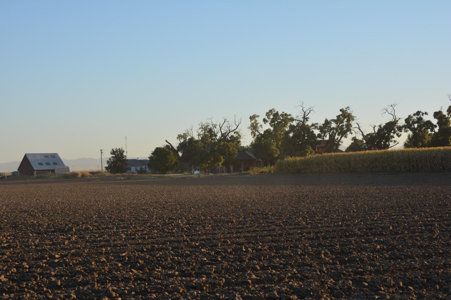 Lone Star Road, Williams, California image 8