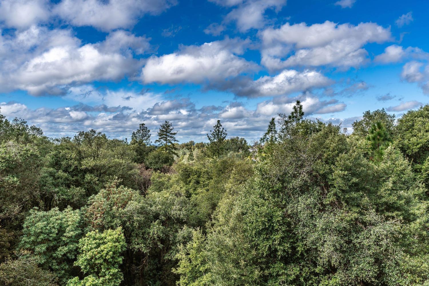 Detail Gallery Image 26 of 91 For 17780 Redberry Lane, Jackson,  CA 95642 - 4 Beds | 3/1 Baths