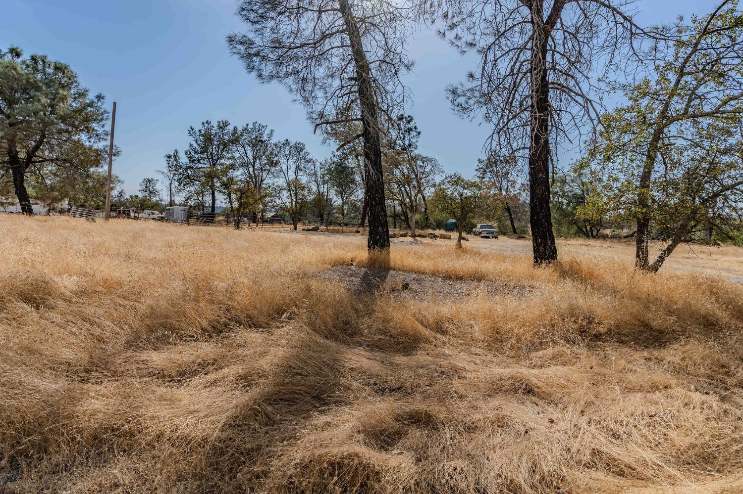 Detail Gallery Image 5 of 12 For 12874 Stedman Ranch Rd, Burson,  CA 95225 - – Beds | – Baths