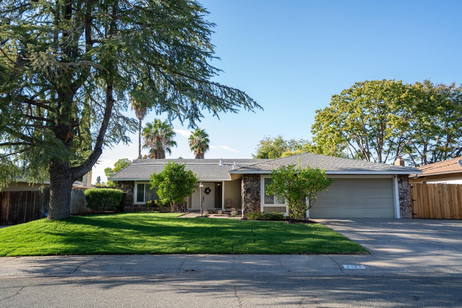 Brayton Avenue, Citrus Heights, California image 21