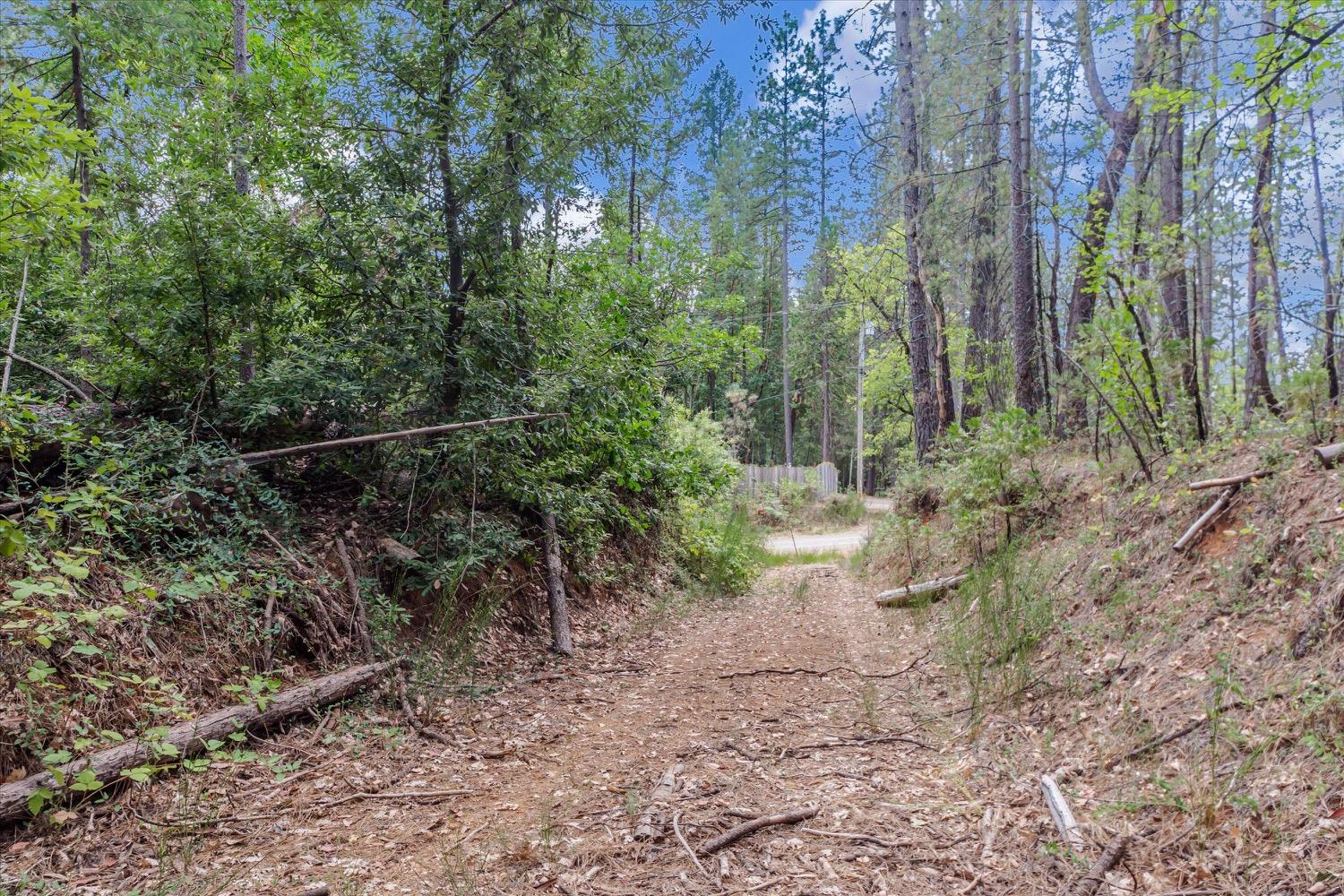 Hiatt Lane, Challenge, California image 12