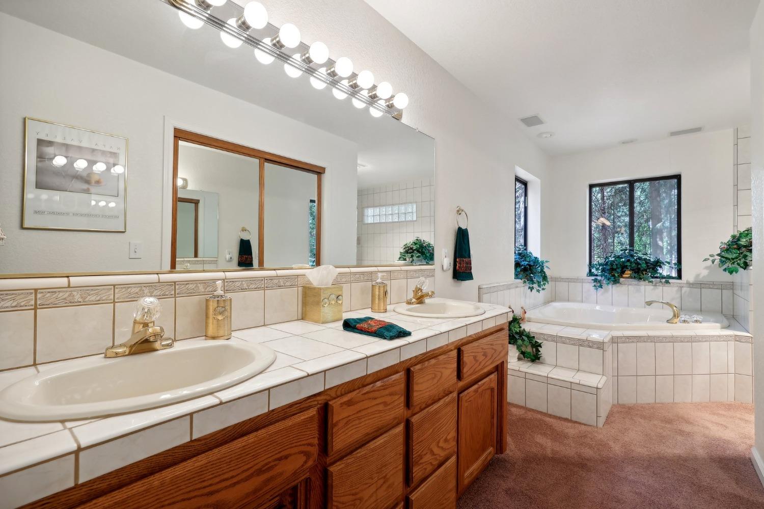 Detail Gallery Image 19 of 46 For 5368 Wildberry Dr, Grizzly Flats,  CA 95636 - 3 Beds | 2/2 Baths