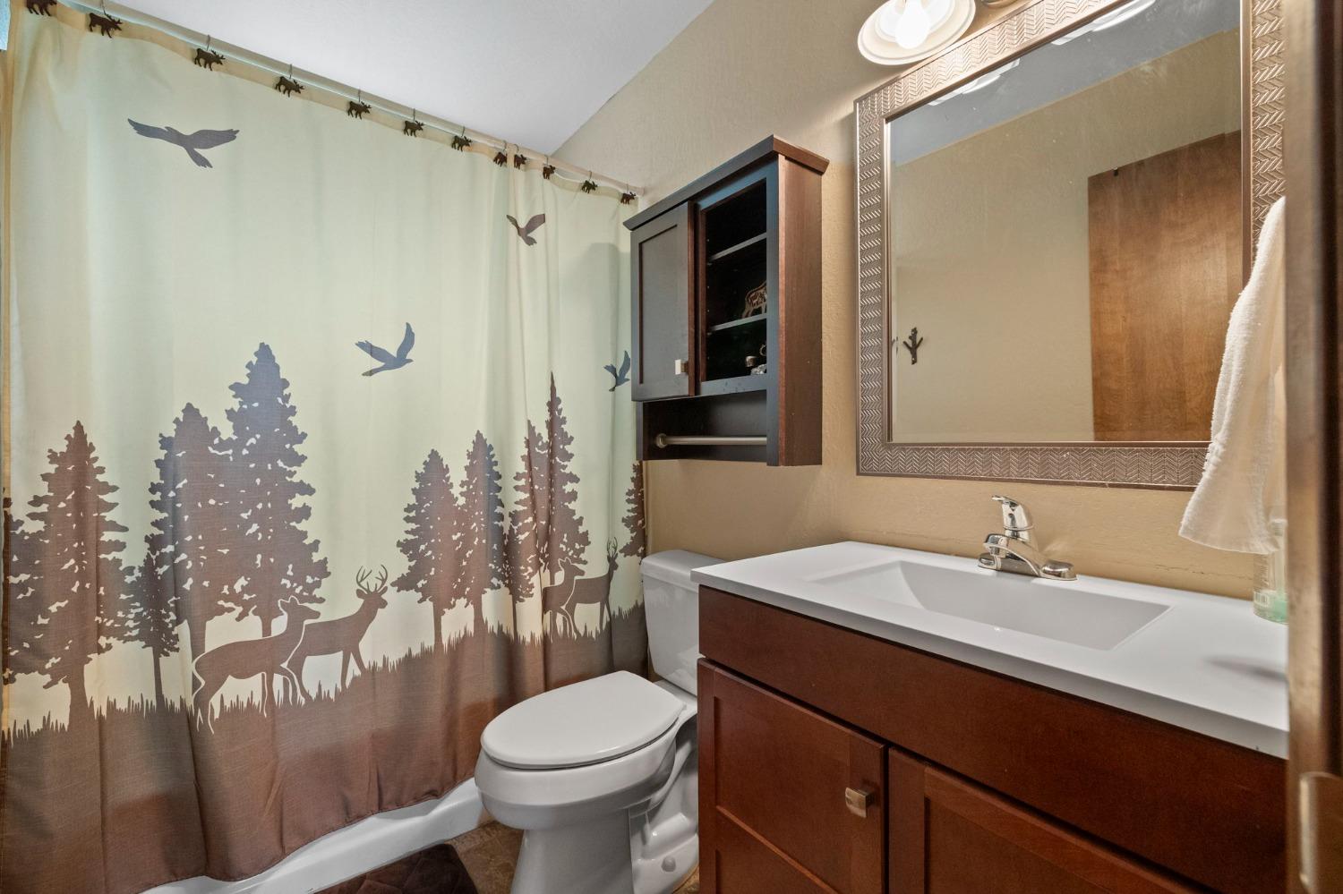 Detail Gallery Image 22 of 57 For 1668 Jerrilynn Dr, Arnold,  CA 95223 - 3 Beds | 2 Baths