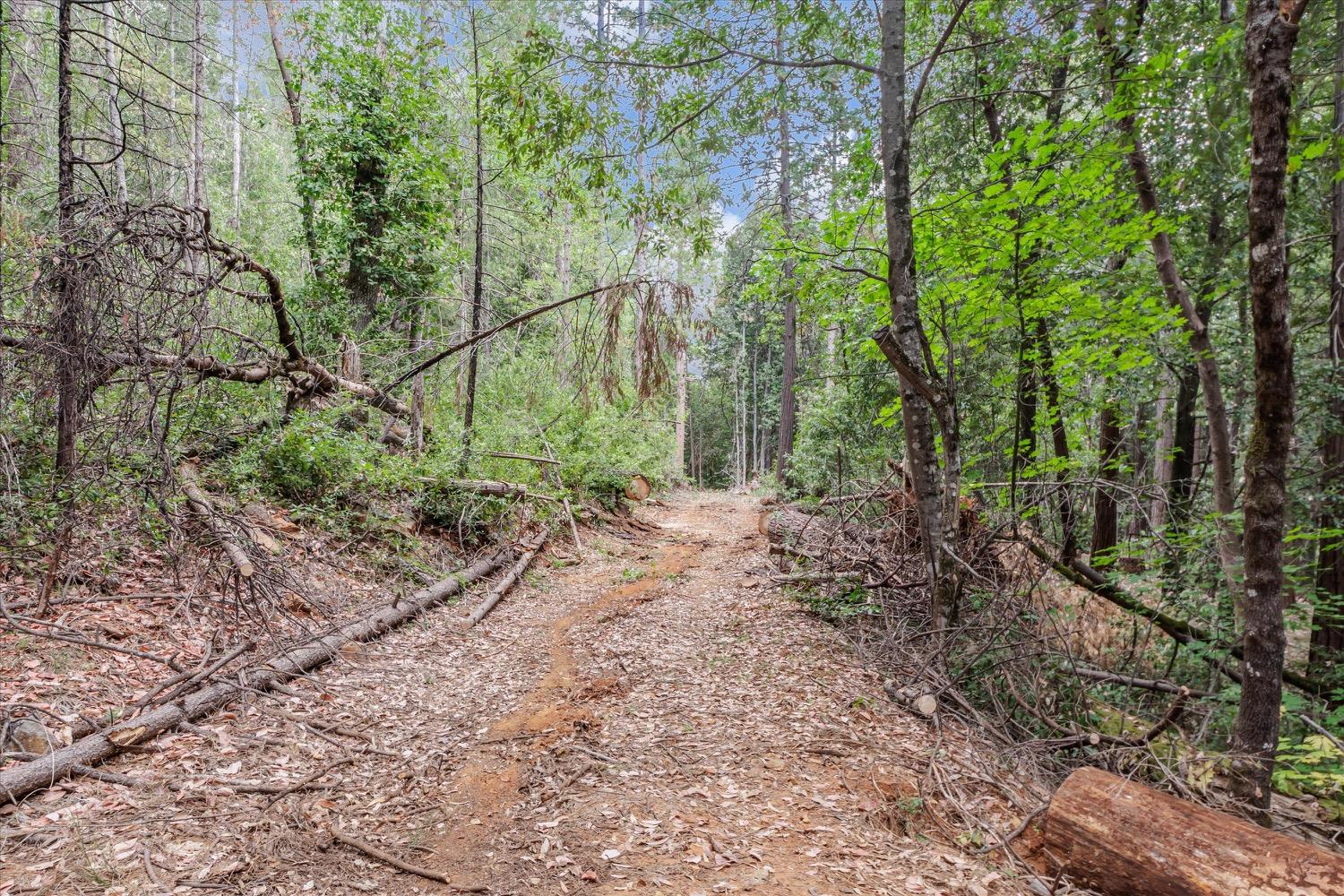 Hiatt Lane, Challenge, California image 15