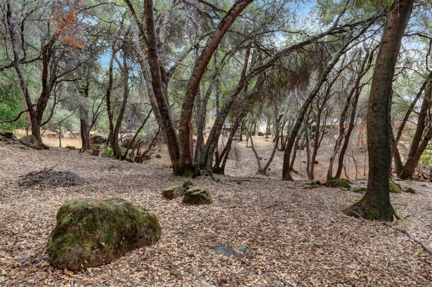 Detail Gallery Image 63 of 96 For 17675 Foxtail Dr, Penn Valley,  CA 95946 - 2 Beds | 2 Baths