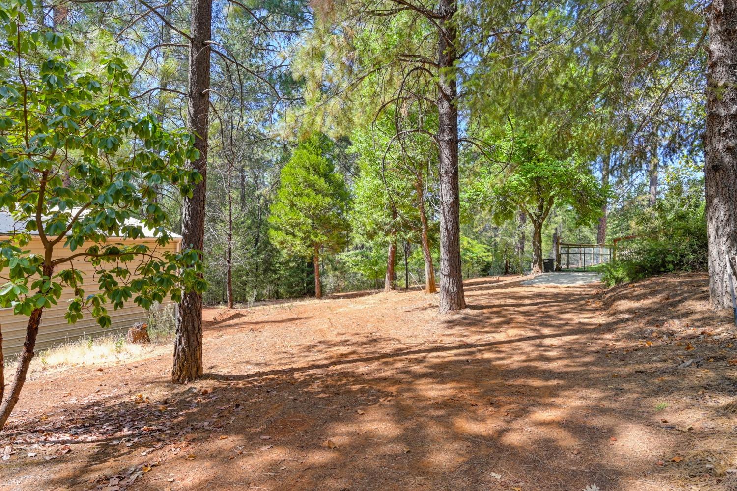 Detail Gallery Image 67 of 80 For 1920 Hidden Ridge Way, Colfax,  CA 95713 - 3 Beds | 2 Baths