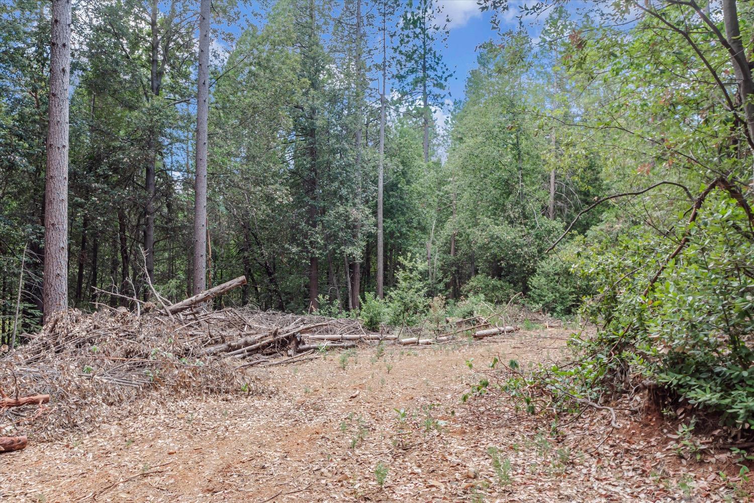 Hiatt Lane, Challenge, California image 18