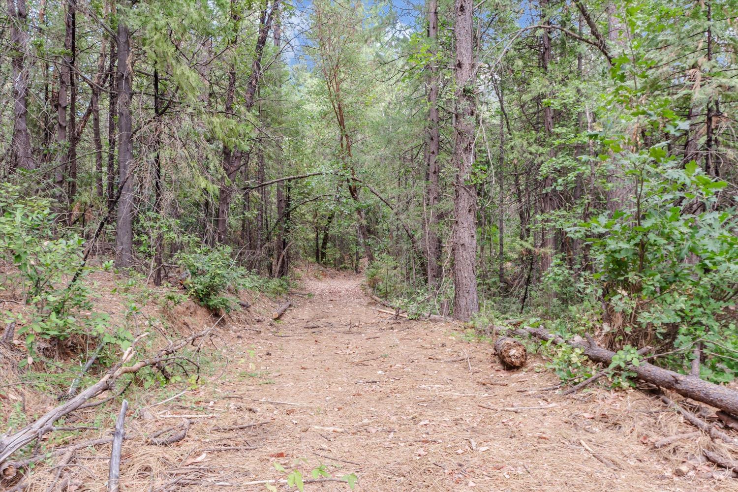 Hiatt Lane, Challenge, California image 15