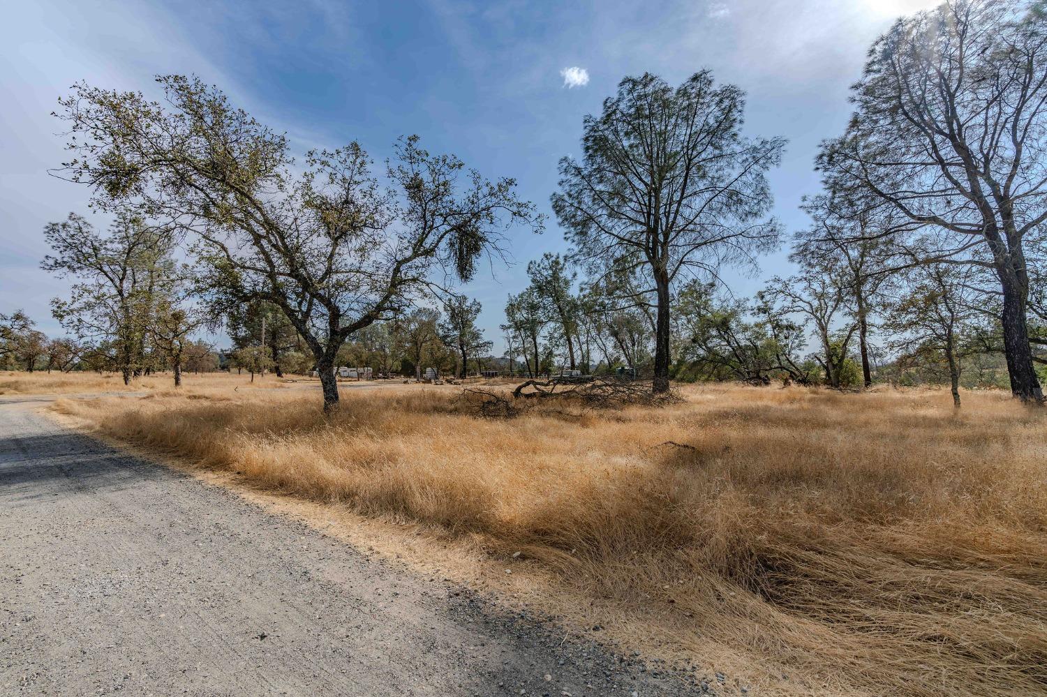 Detail Gallery Image 6 of 12 For 12874 Stedman Ranch Rd, Burson,  CA 95225 - – Beds | – Baths