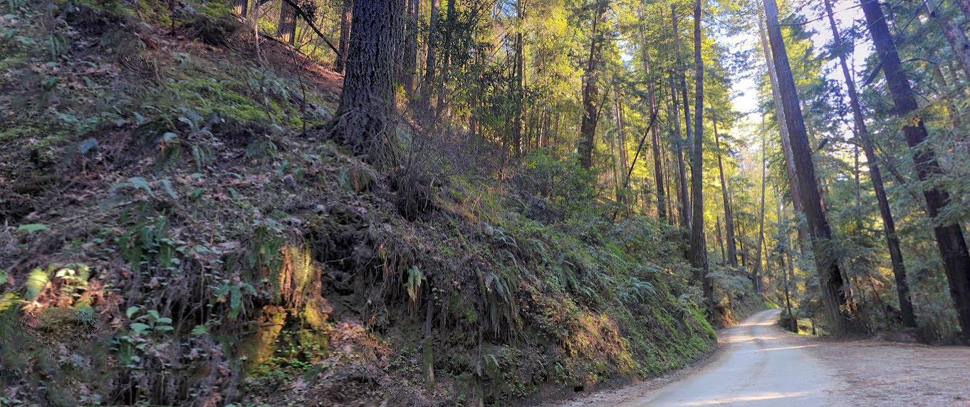 Love Creek Road, Ben Lomond, California image 1