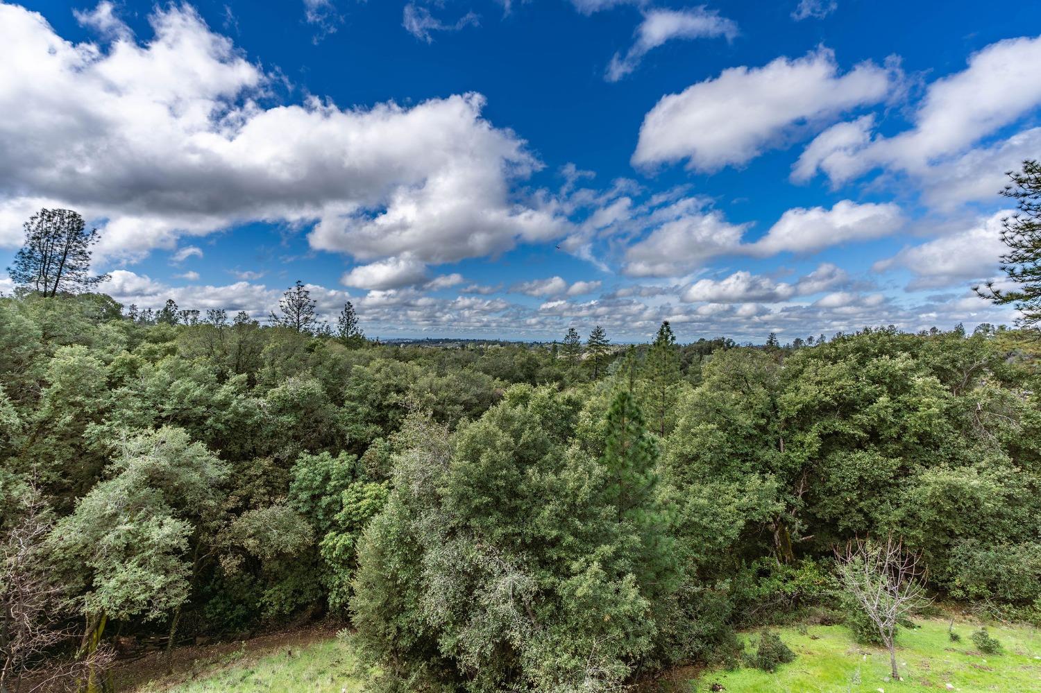 Detail Gallery Image 28 of 91 For 17780 Redberry Lane, Jackson,  CA 95642 - 4 Beds | 3/1 Baths