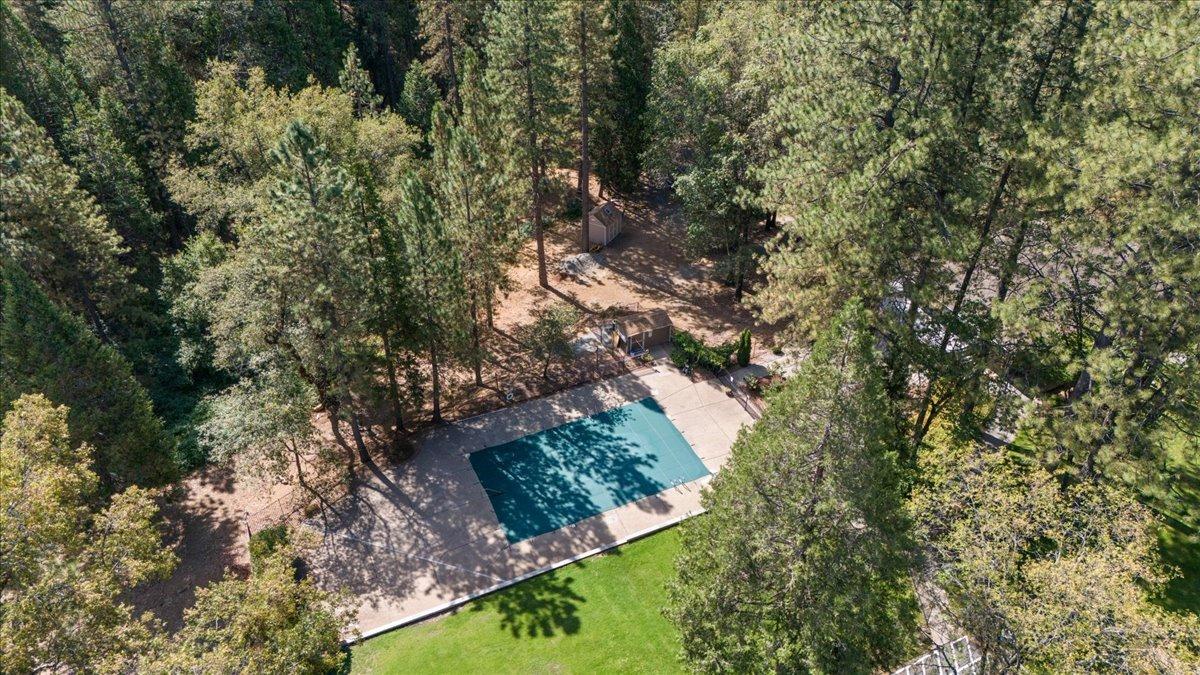 Hibiscus Court, Pollock Pines, California image 49