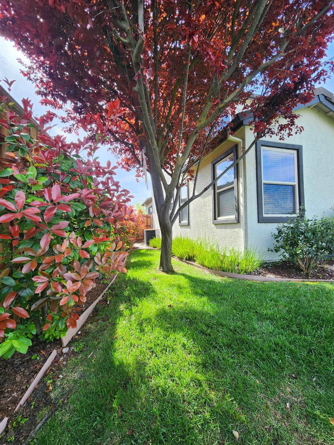 Detail Gallery Image 37 of 38 For 3895 Rollins Ct, West Sacramento,  CA 95691 - 5 Beds | 3/1 Baths