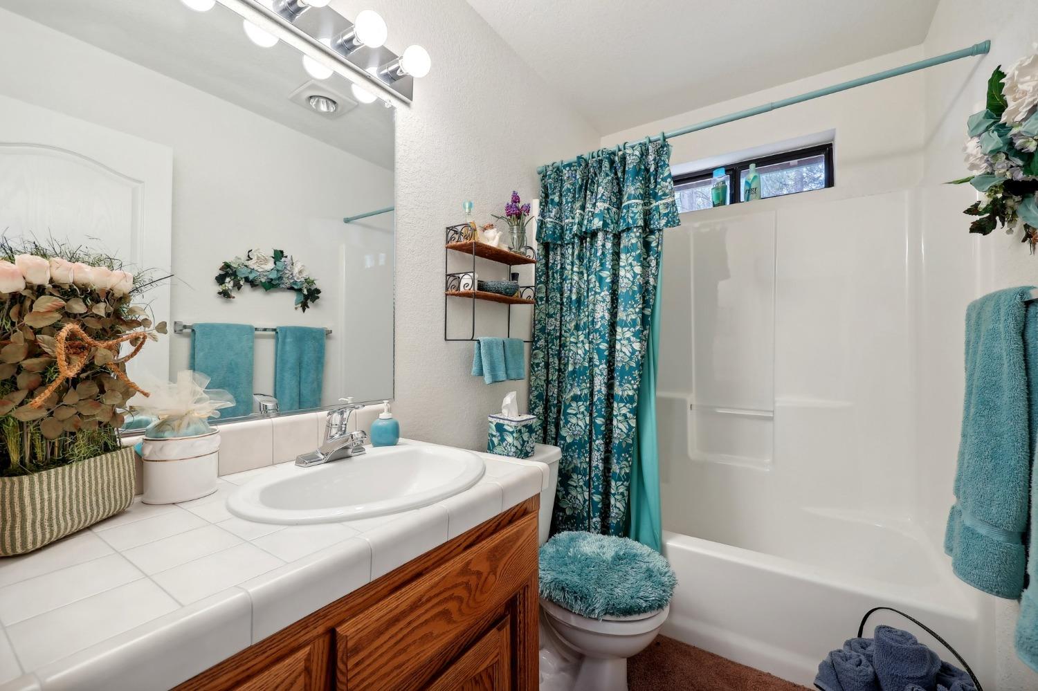 Detail Gallery Image 27 of 46 For 5368 Wildberry Dr, Grizzly Flats,  CA 95636 - 3 Beds | 2/2 Baths