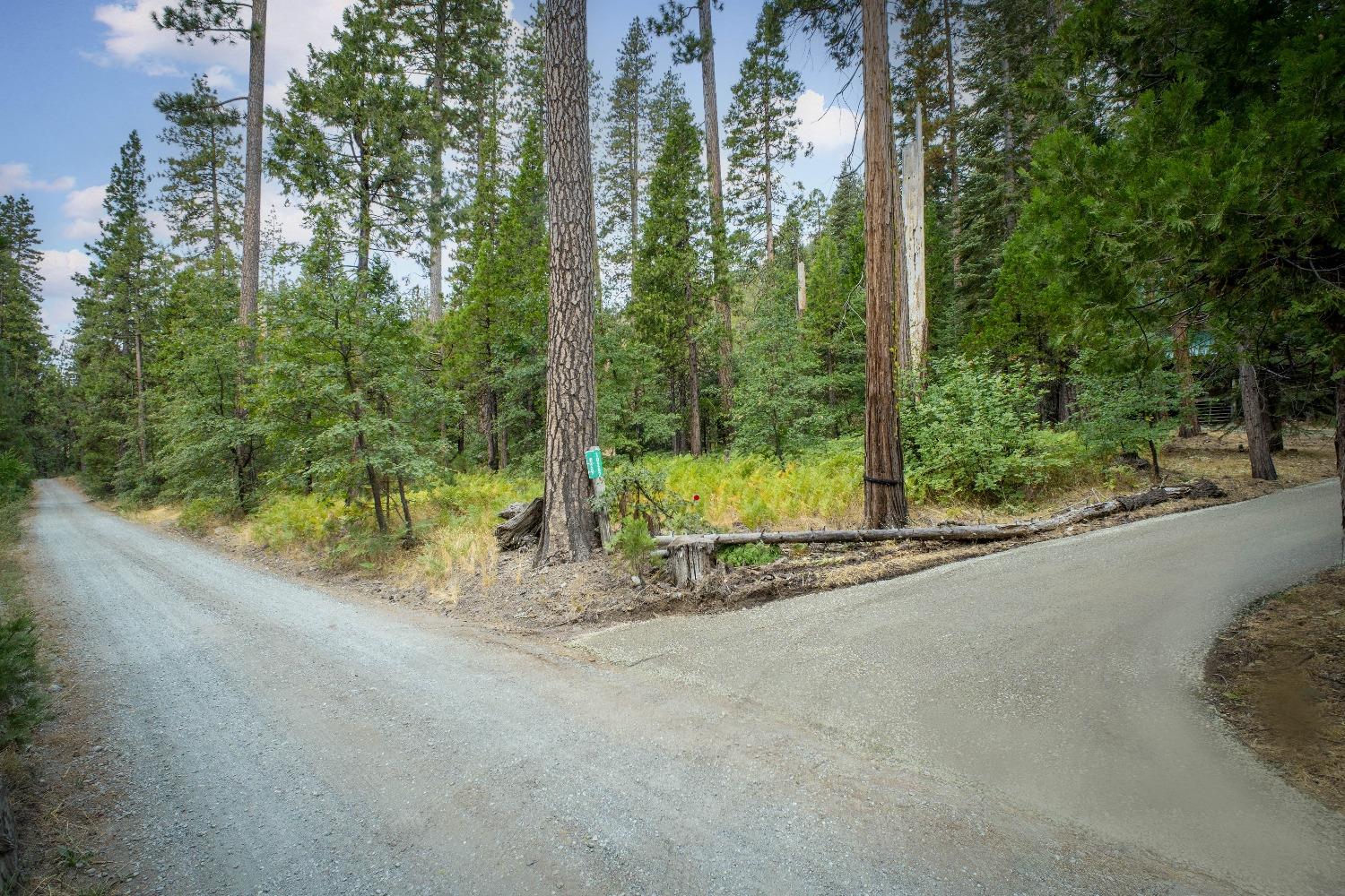 Detail Gallery Image 38 of 54 For 10262 Spaulding Ln, Nevada City,  CA 95959 - 0 Beds | 1 Baths