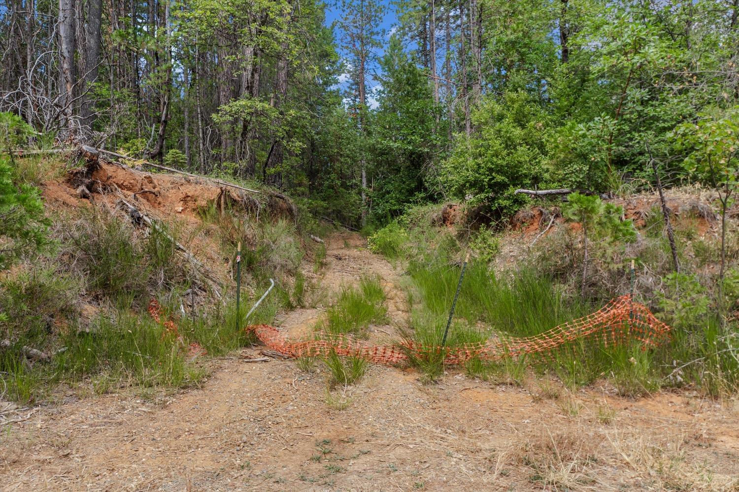 Hiatt Lane, Challenge, California image 19