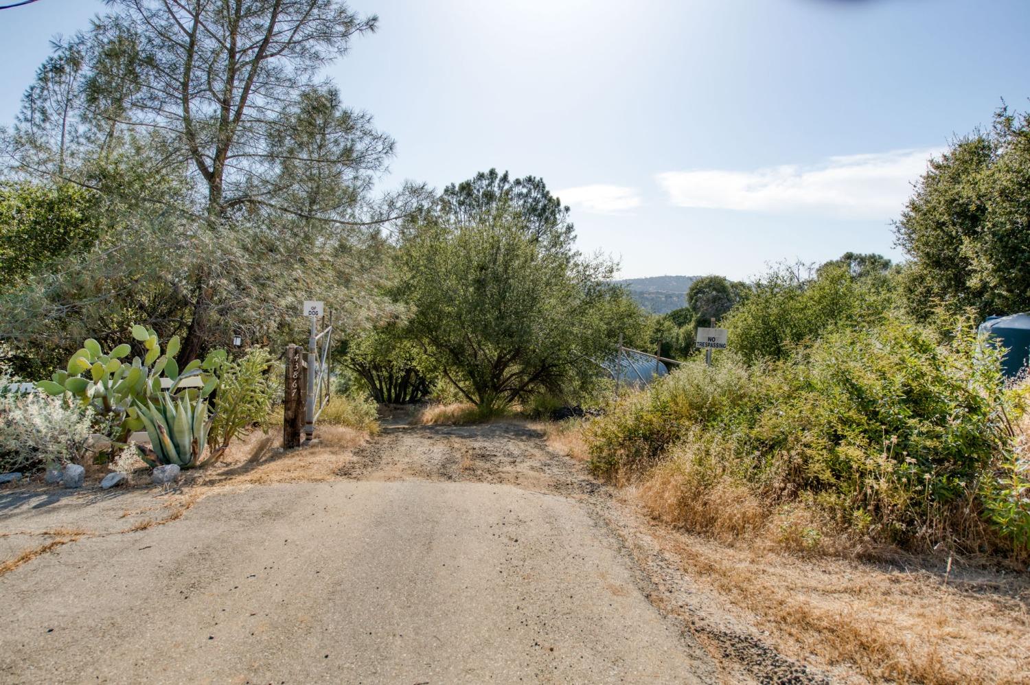 Detail Gallery Image 2 of 74 For 43867 Trabuco Ct, Coarsegold,  CA 93614 - 4 Beds | 4 Baths