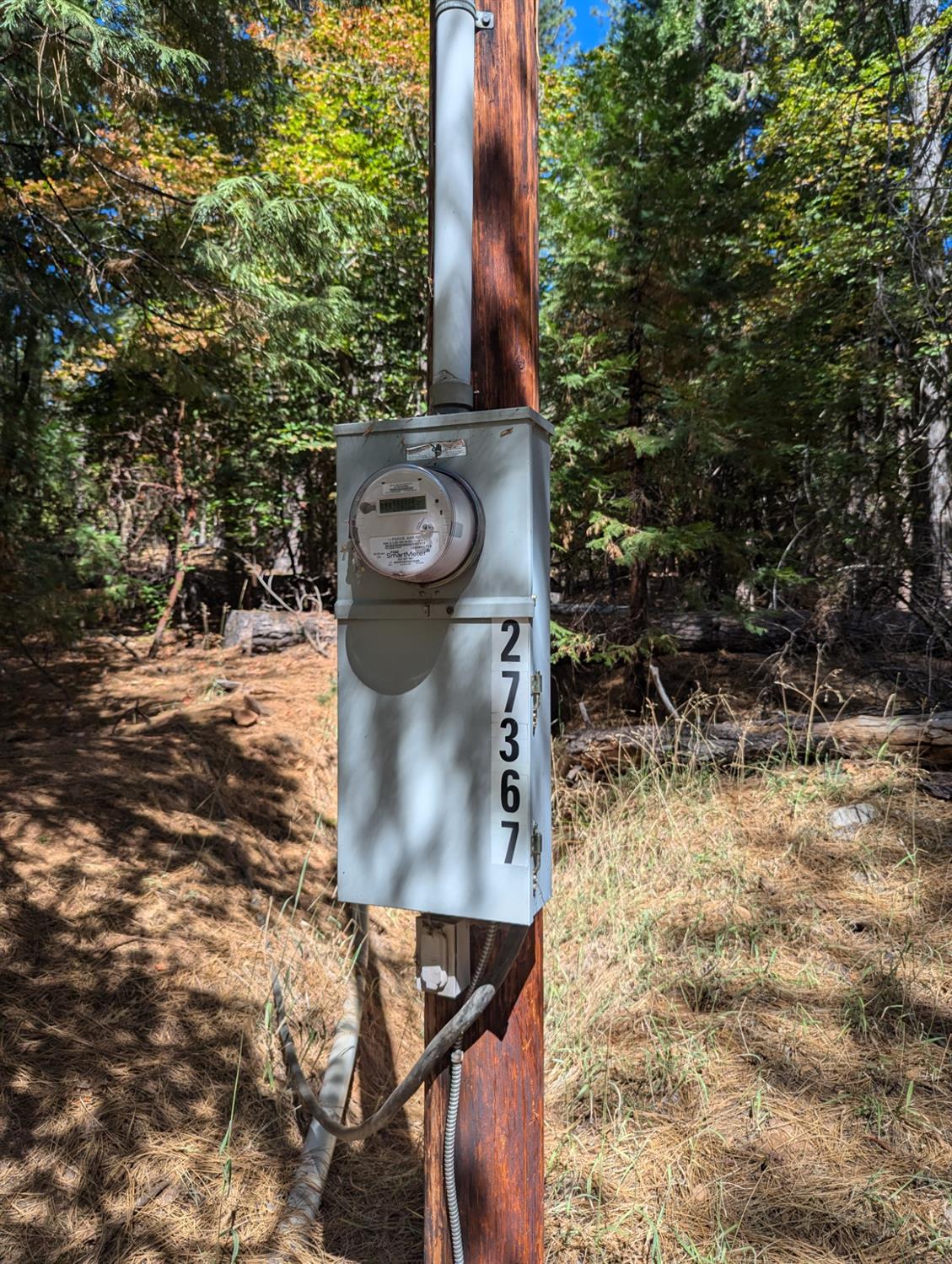 Ashland Drive, Pioneer, California image 8