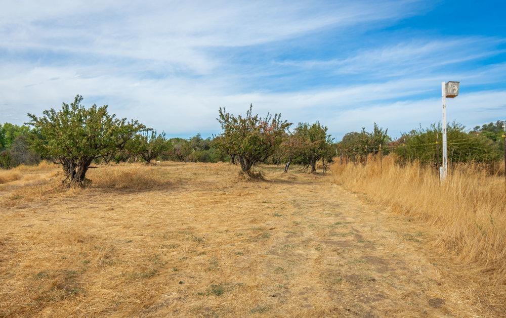 Detail Gallery Image 90 of 99 For 4850 Hansen Rd, Loomis,  CA 95650 - 2 Beds | 2 Baths