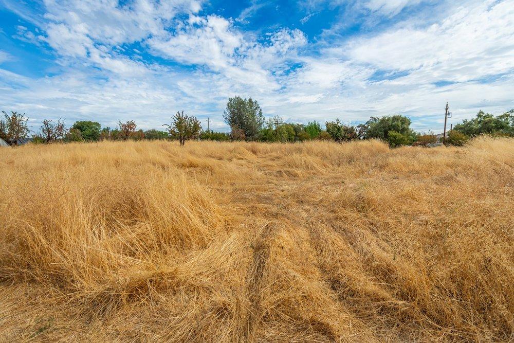 Detail Gallery Image 88 of 99 For 4850 Hansen Rd, Loomis,  CA 95650 - 2 Beds | 2 Baths