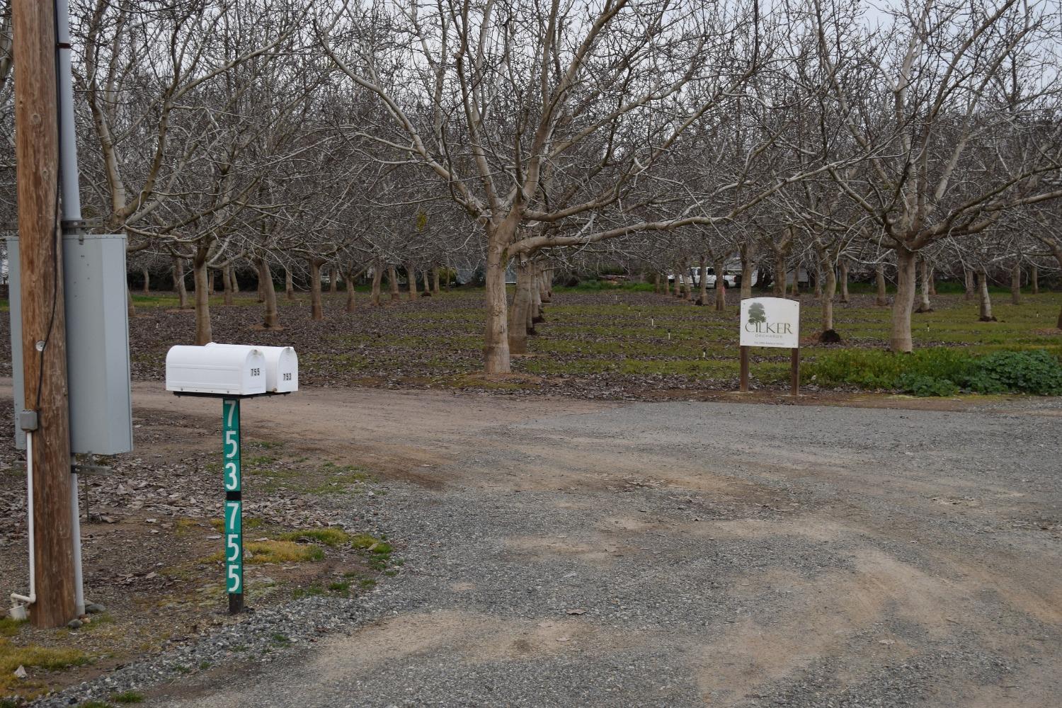 Ord Ranch Road, Biggs, California image 8