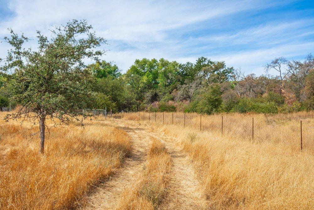 Detail Gallery Image 97 of 99 For 4850 Hansen Rd, Loomis,  CA 95650 - 2 Beds | 2 Baths