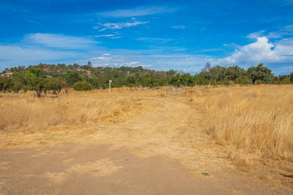 Detail Gallery Image 52 of 99 For 4850 Hansen Rd, Loomis,  CA 95650 - 2 Beds | 2 Baths